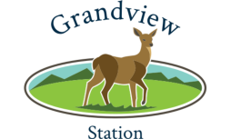 Grandview Station